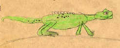 Lizard.JPG (20646 bytes)